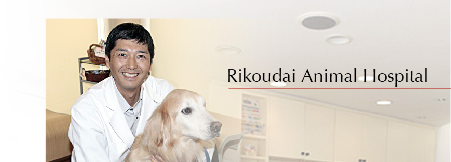 Rikoudai Animal Hospital